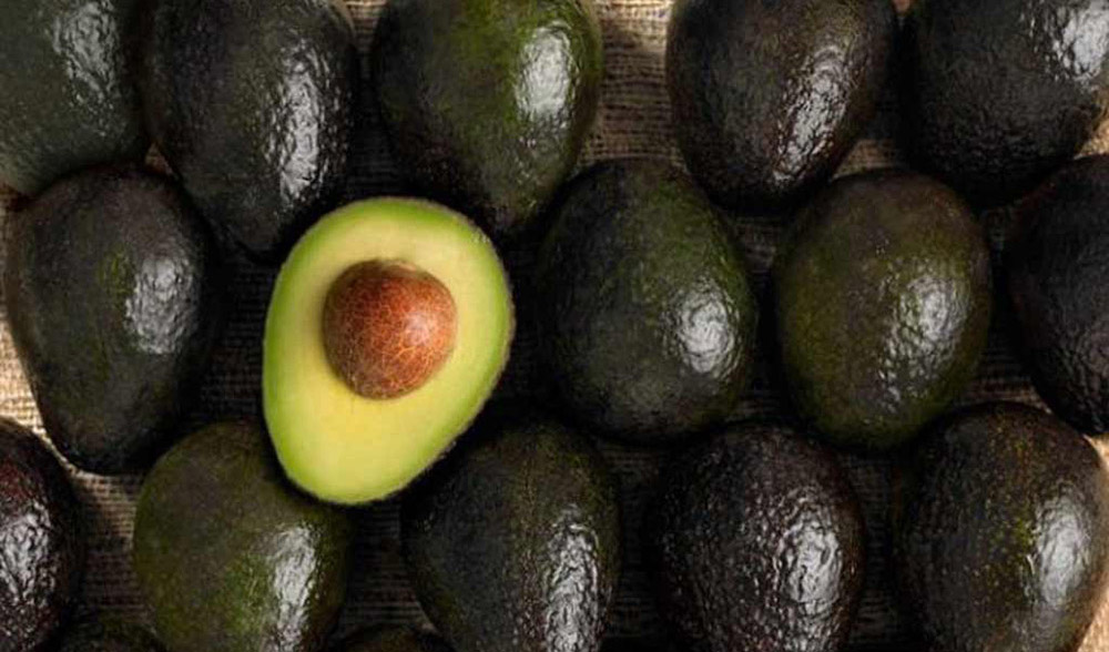 Presentan a Aguacateros de Michoacán con “Corazón Inquebrantable” - Atiempo