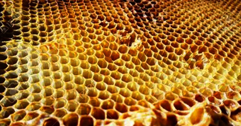 La cera de abeja está donde no te lo imaginas