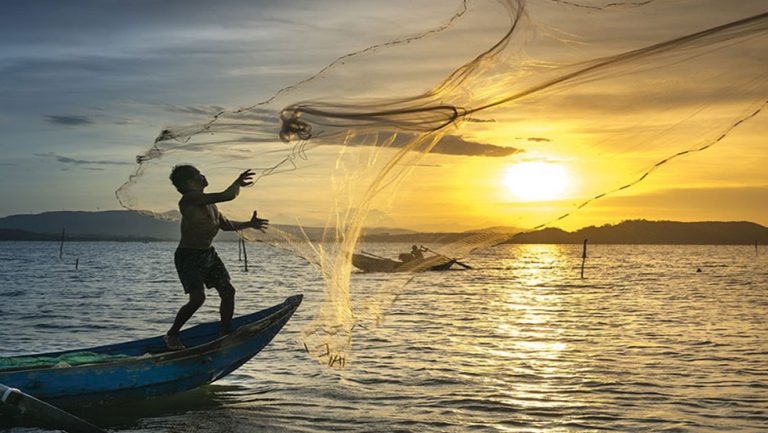 La Pesca Mexicana Una Actividad Inmensa Como El Mar 2000agro Revista Industrial Del Campo 5626