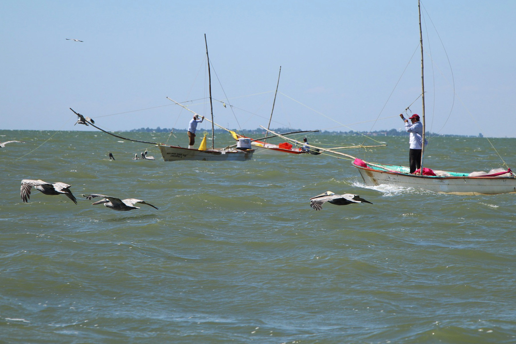 La pesca mexicana, una actividad inmensa como el mar - 2000Agro Revista  Industrial del Campo